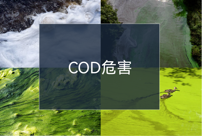 20230609131806_90246 9001cc½ðɳÒÔ³ÏΪ±¾(Öйú¼¯ÍÅ)-¹Ù·½ÍøÕ¾